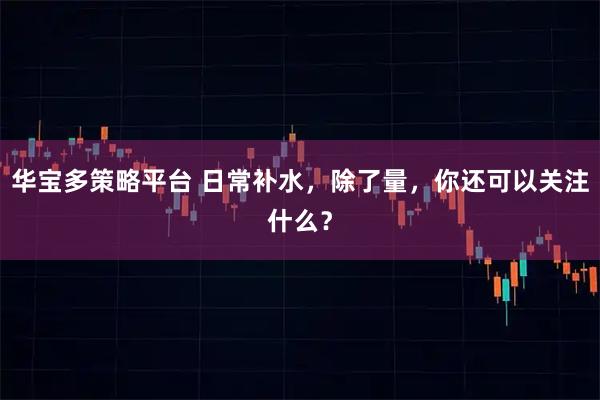 华宝多策略平台 日常补水，除了量，你还可以关注什么？